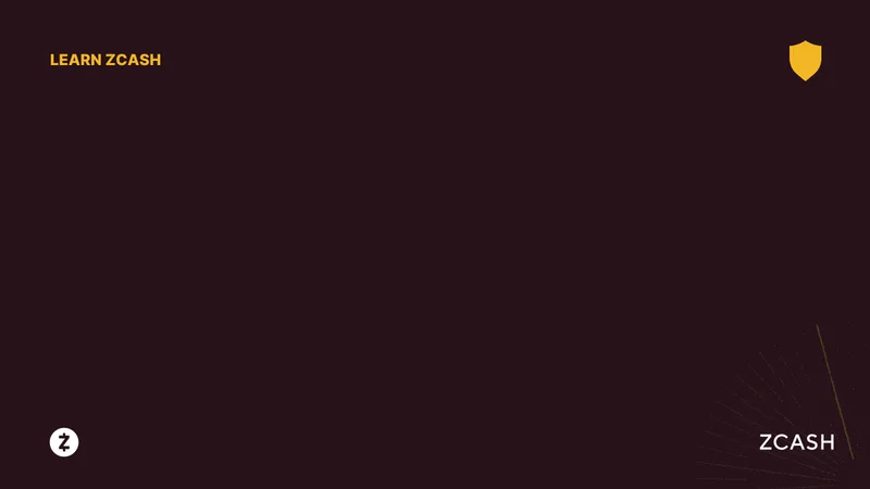 Zcash: Unpacking its Vision, Price Trajectory, and the Latest Breakthroughs – What the Reddit Community is Envisioning